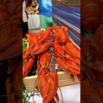 万博あと一ヶ月！　世界が誇る食の宝石箱