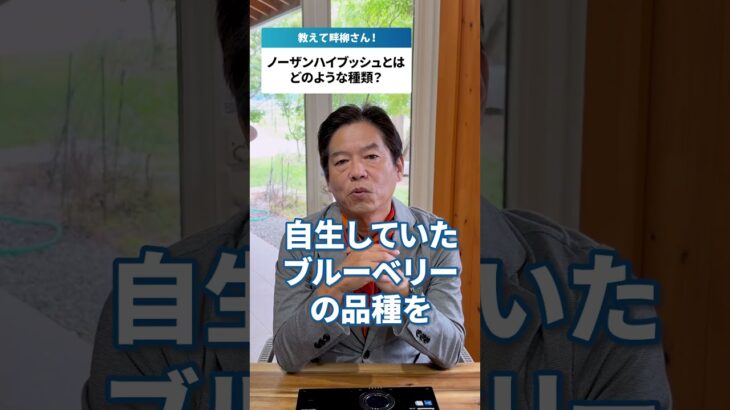【ノーザンハイブッシュ系の特徴を教えて！】#脱サラ #農業起業 #ブルーベリーファームおかざき #観光農園 #ブルーベリー #ノーザンハイブッシュ #shorts
