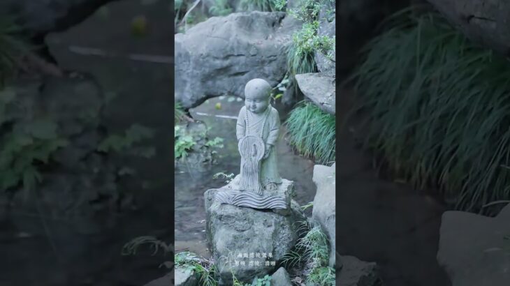 嘴中言少，自然祸少，腹中食少，自然疾少。心中欲少，自然忧少，身上事少，自然苦少。大悲无泪，大悟无言，缘来要惜，缘尽要放。随方就圆，无处不自在#禅悟人生 #人生感悟 #国学智慧